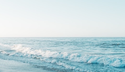 中野レッドリボン論外